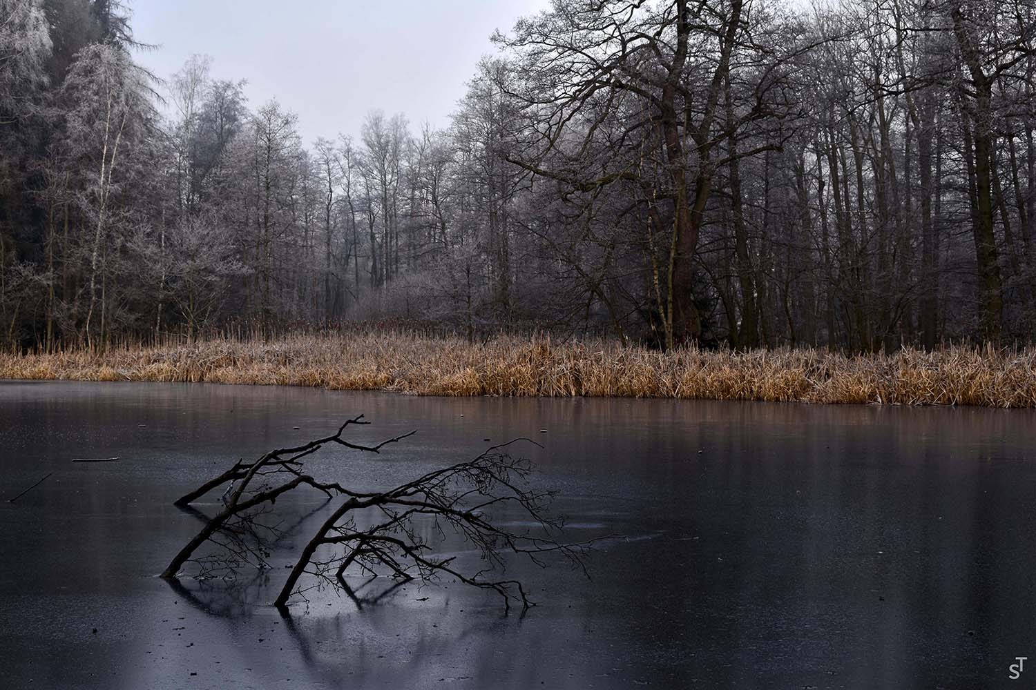Frozen Lake